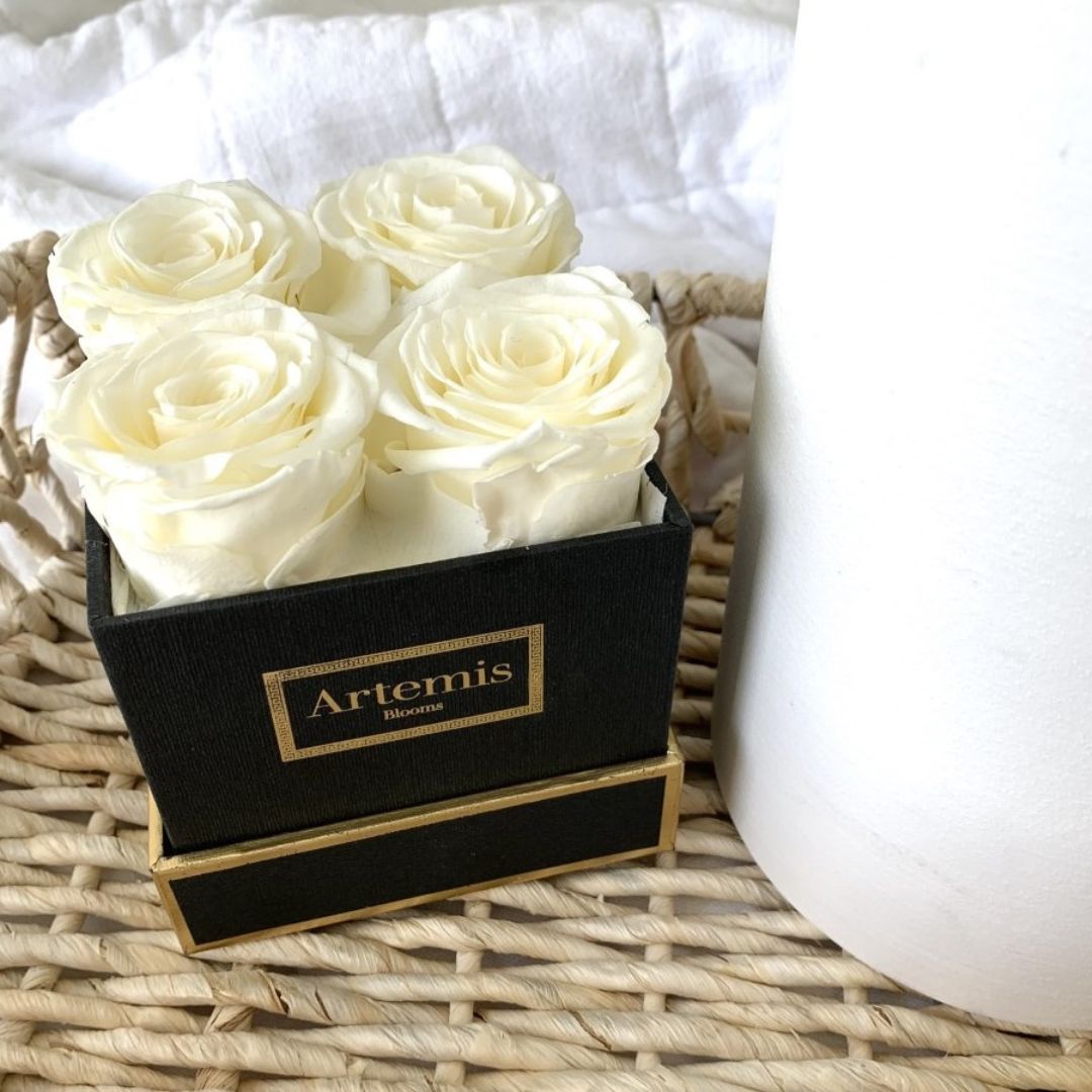 Box of Four Preserved Roses