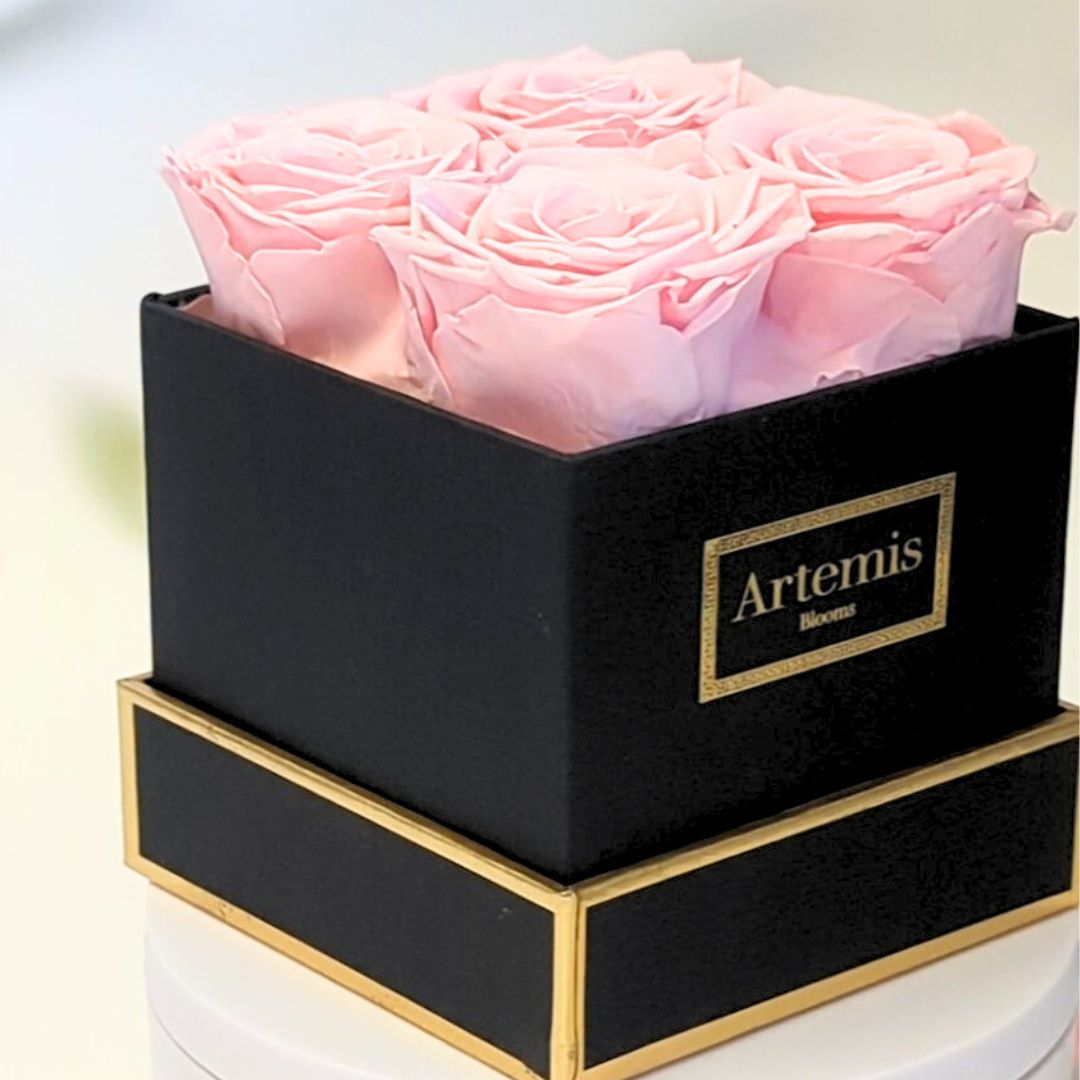 Box of Four Preserved Roses
