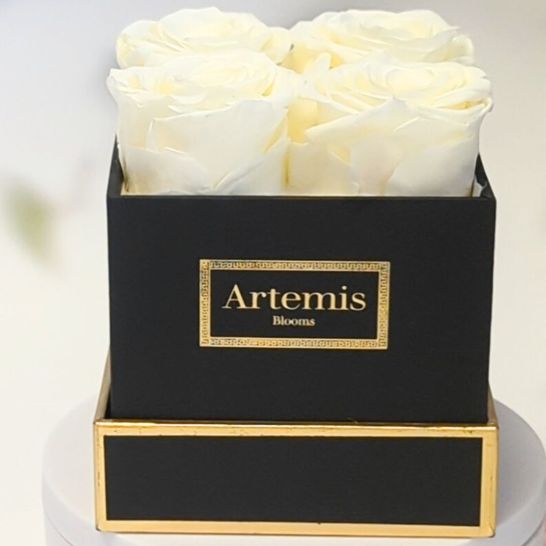 Box of Four Preserved Roses