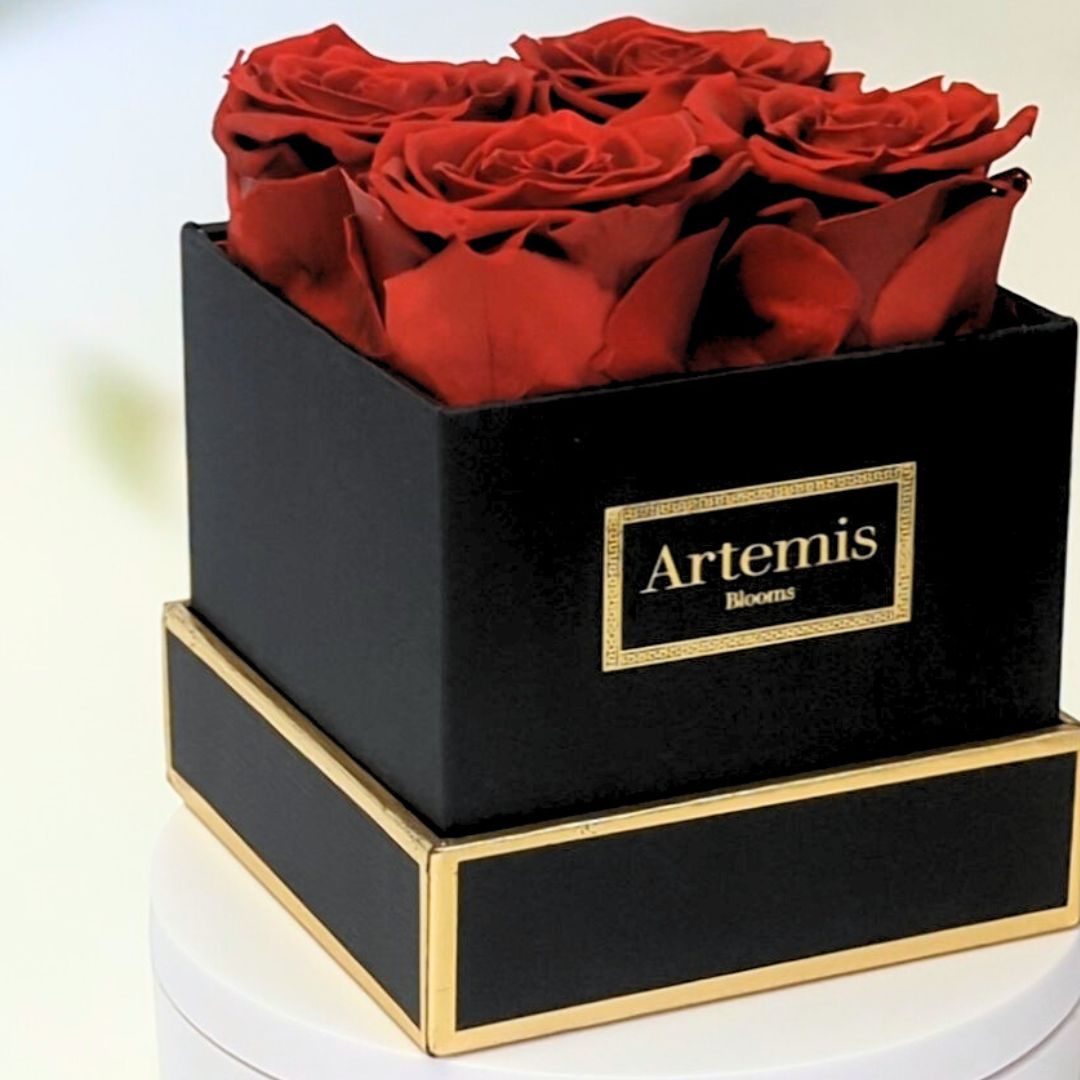 Box of Four Preserved Roses