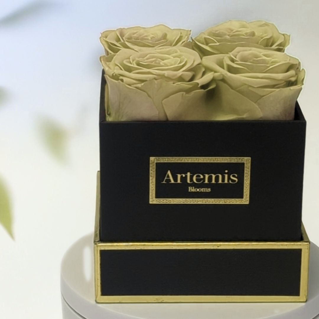 Box of Four Preserved Roses