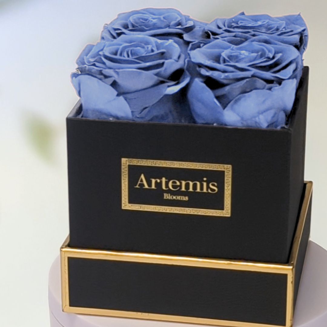 Box of Four Preserved Roses