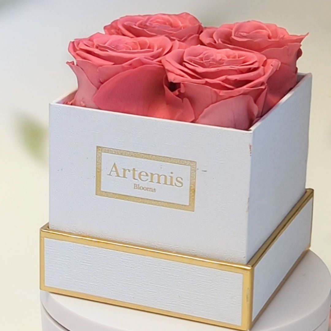 Box of Four Preserved Roses