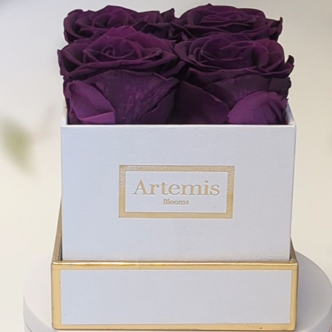 Box of Four Preserved Roses
