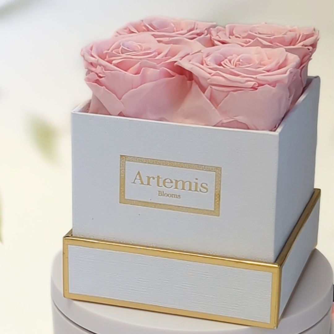 Box of Four Preserved Roses