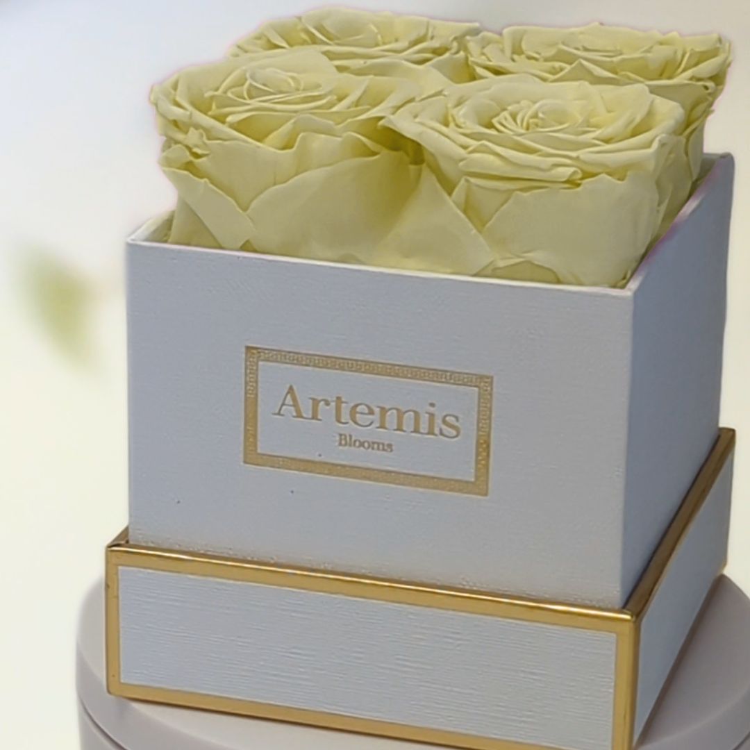 Box of Four Preserved Roses