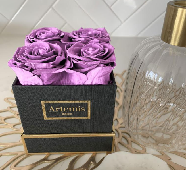 Box of Four Preserved Roses